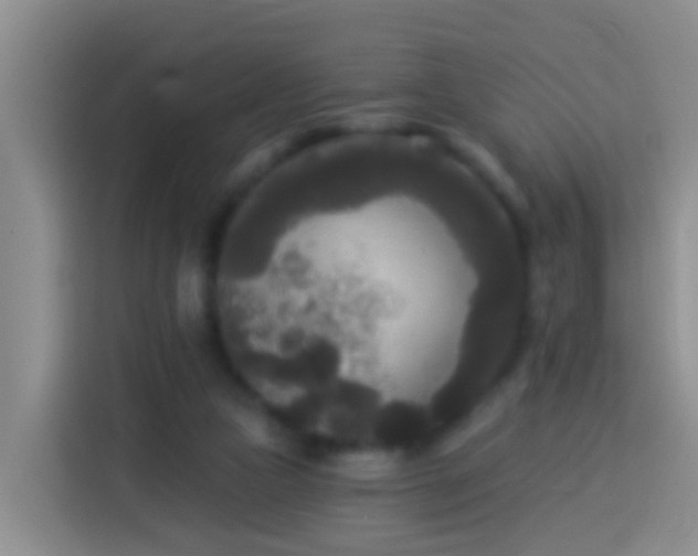 X0000113920161200910011519