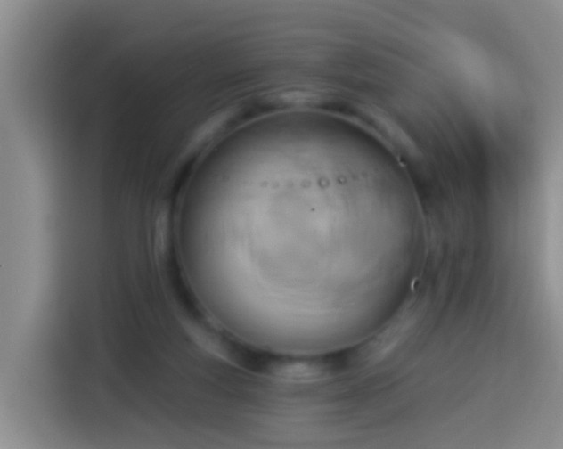 X0000113920163200910011519
