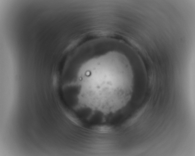 X0000113920165200910011519