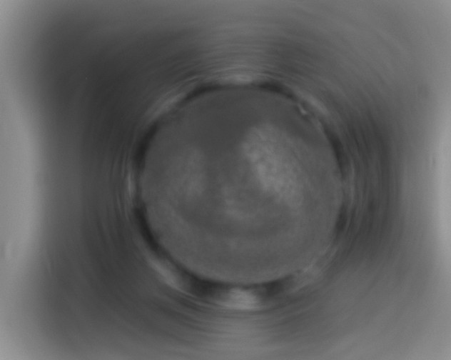X0000113920166200910011519
