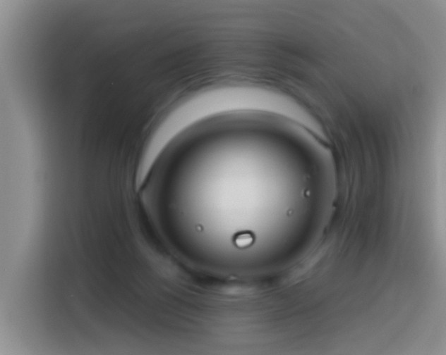 X0000113920168200910011519