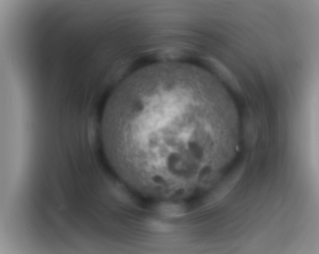 X0000113920169200910011519