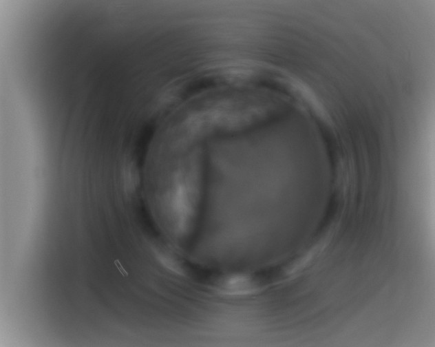 X0000113920173200910011519