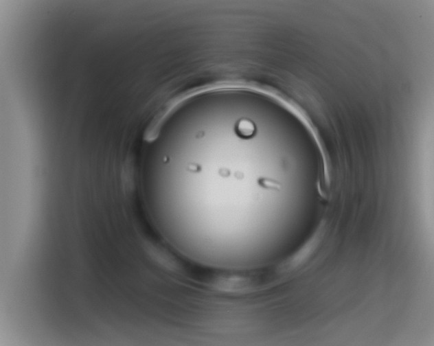 X0000113920174200910011519