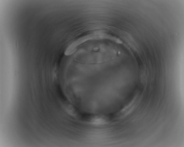 X0000113920175200910011519
