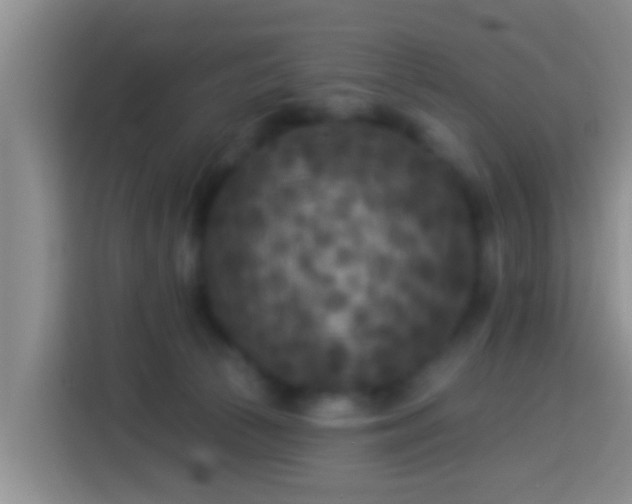 X0000113920177200910011519