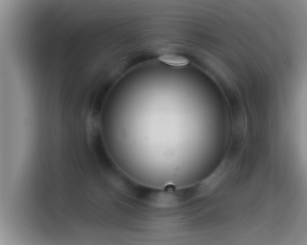 X0000113920180200910011519