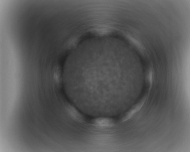 X0000113920181200910011519
