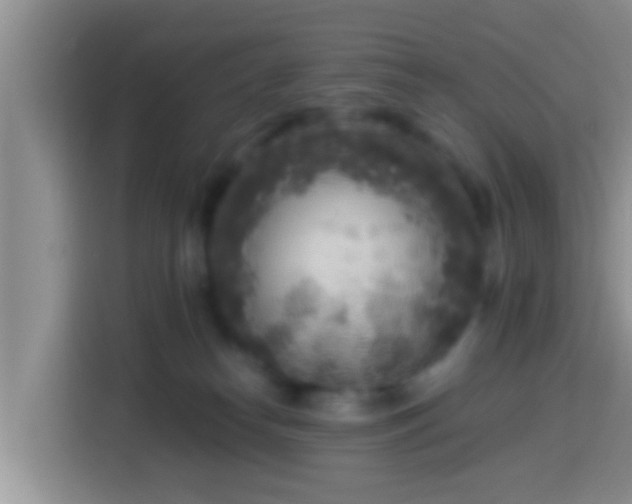 X0000113920182200910011519