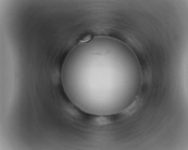 X0000113920183200910011519