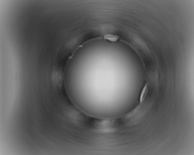 X0000113920184200910011519