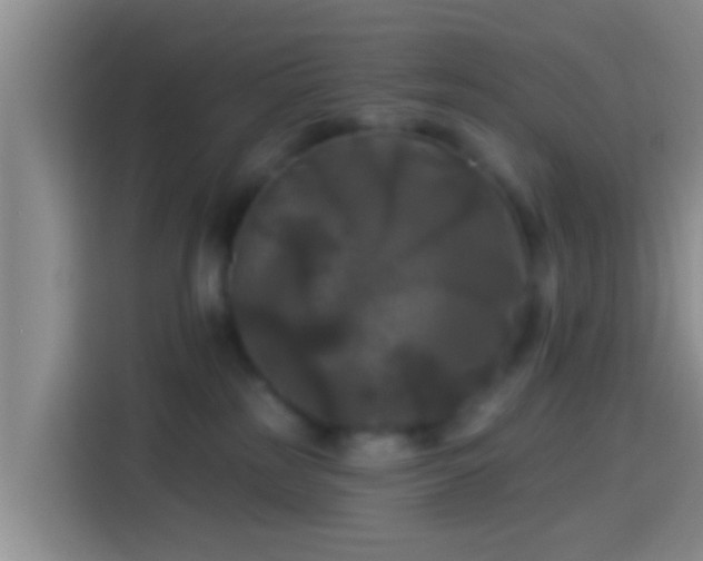 X0000113920185200910011519