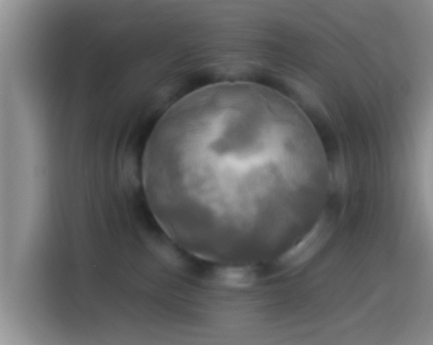 X0000113920187200910011519