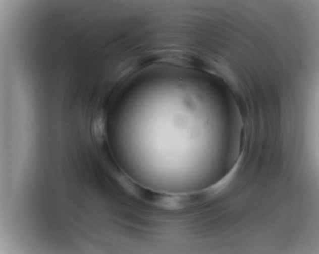 X0000113920190200910011519