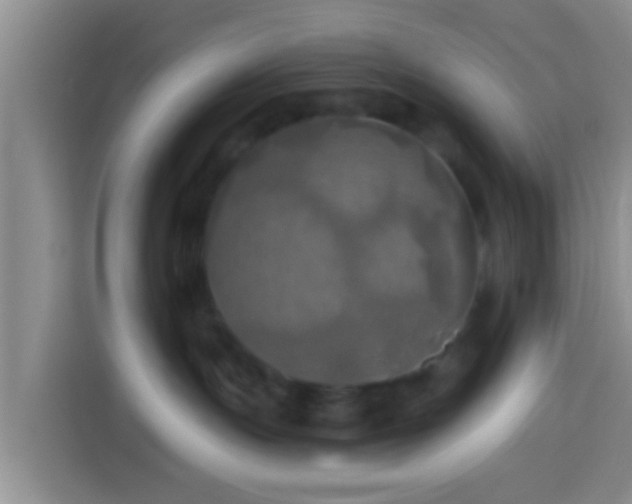 X0000113920191200910011519