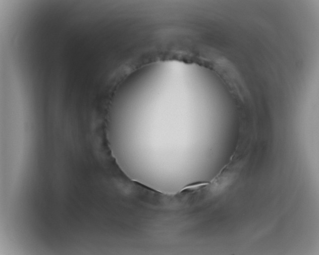X0000113920192200910011519