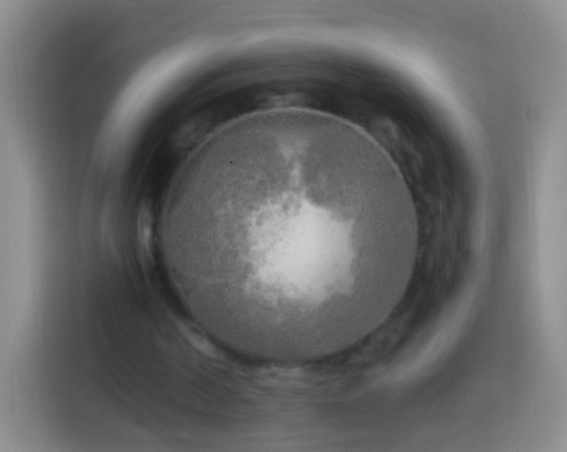 X0000113920194200910011519