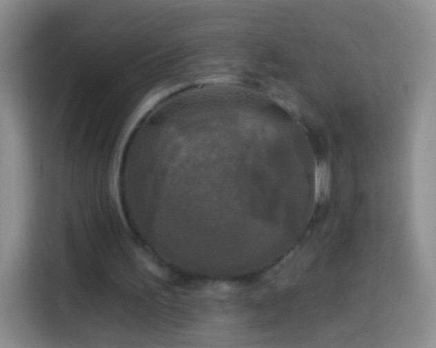 X0000113920195200910011519