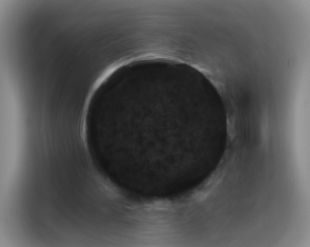 X0000113920196200910011519