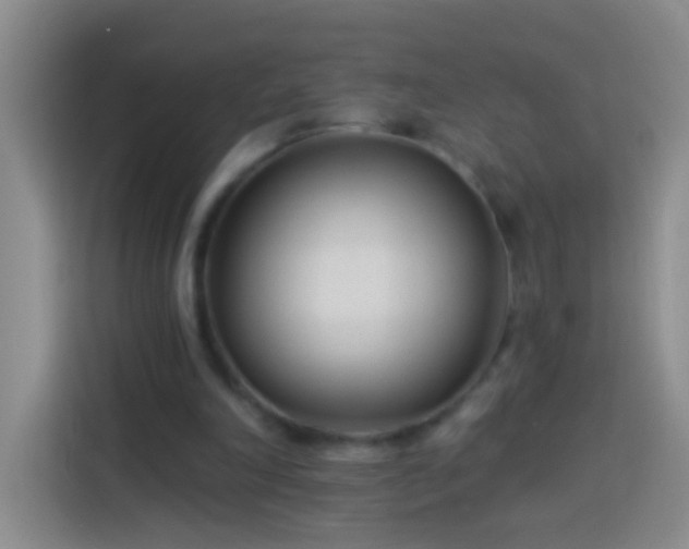 X0000113920198200910011519