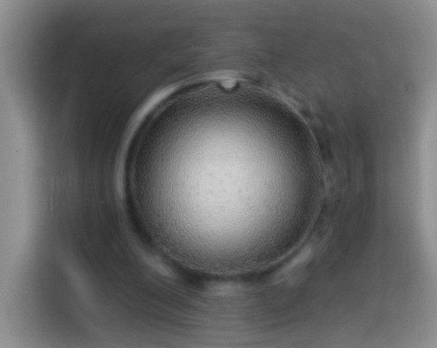 X0000113920200200910011519