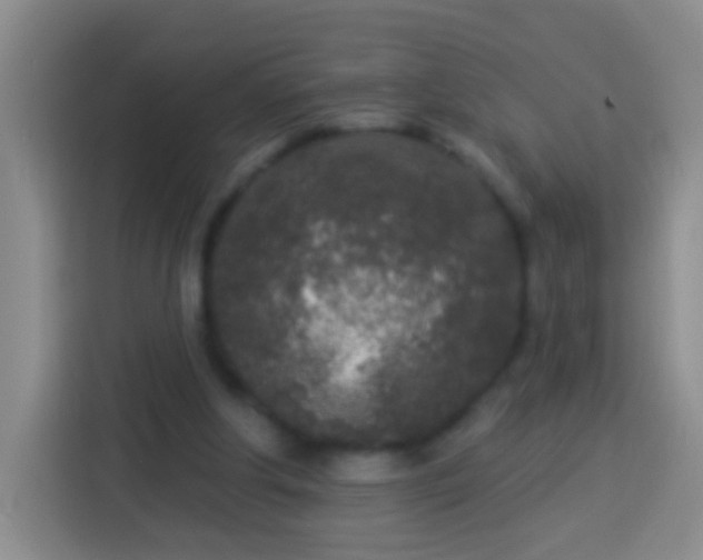 X0000113920202200910011519