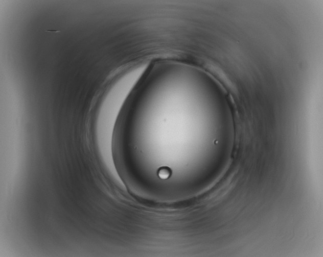 X0000113920203200910011519