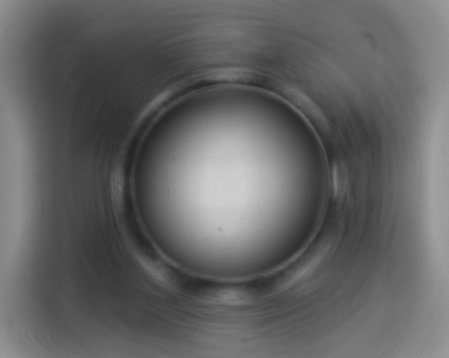 X0000113920204200910011519