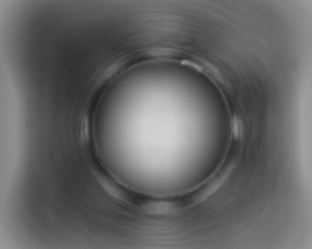 X0000113920205200910011519