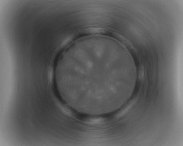 X0000113920206200910011519