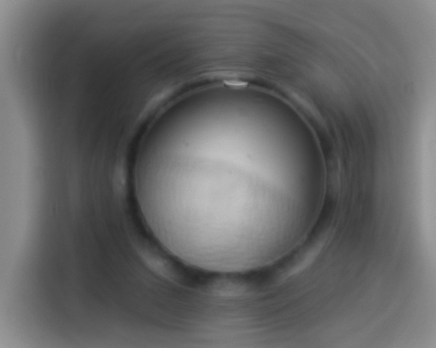 X0000113920207200910011519