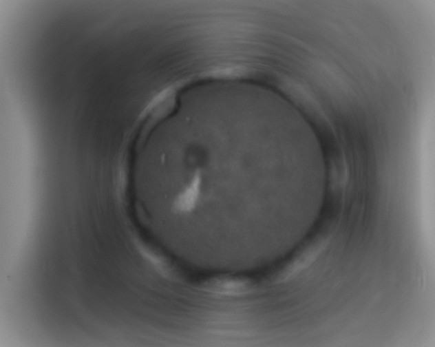 X0000113920208200910011518