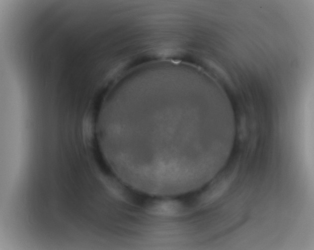 X0000113920210200910011518