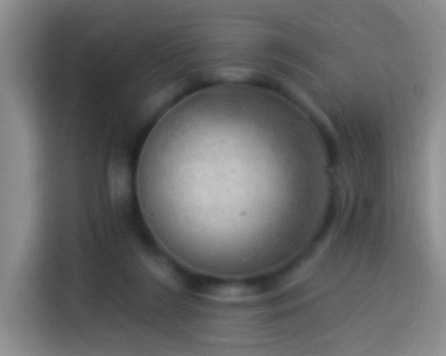 X0000113920212200910011518