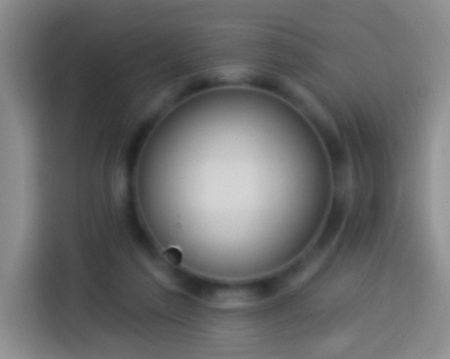 X0000113920213200910011518