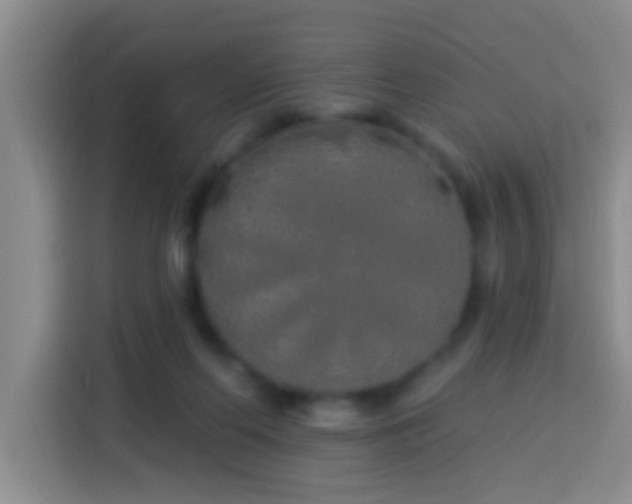 X0000113920214200910011518
