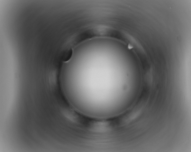 X0000113920217200910011518