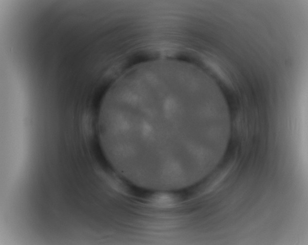 X0000113920218200910011518