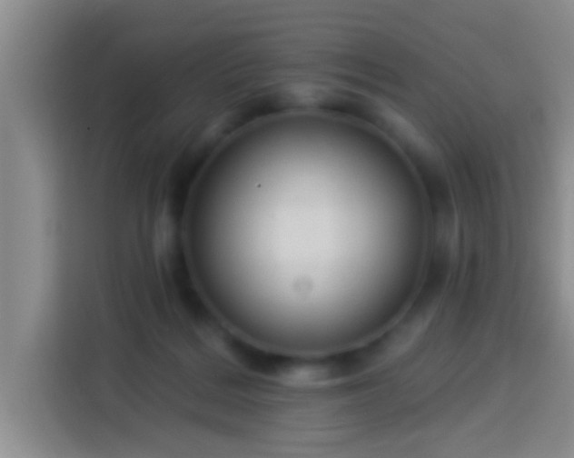 X0000113920220200910011518