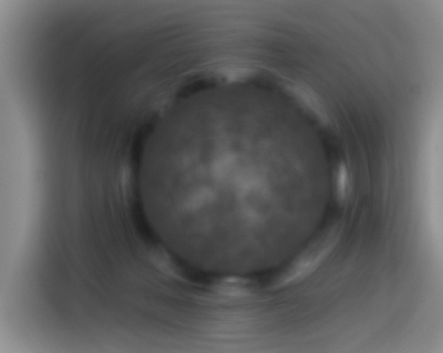 X0000113920222200910011518
