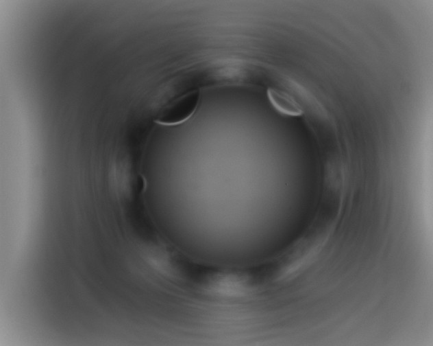 X0000113920223200910011518