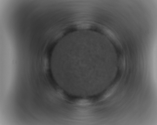 X0000113920224200910011518