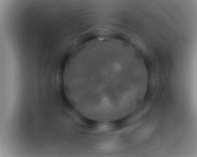 X0000113920226200910011518
