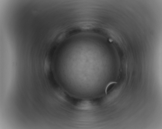 X0000113920227200910011518