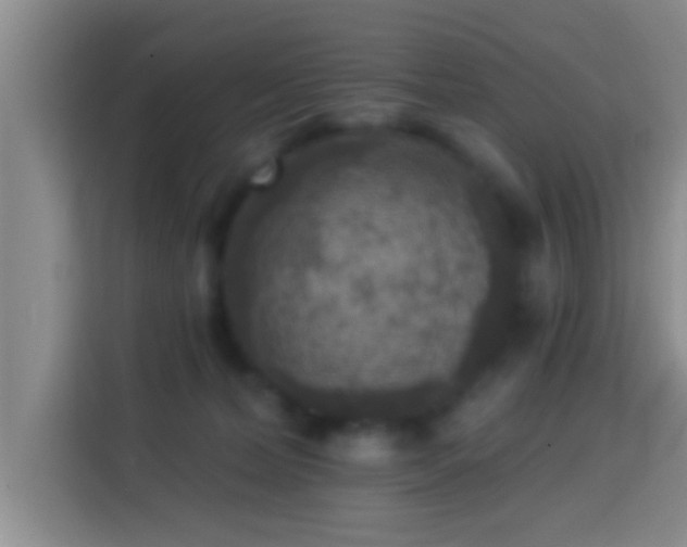 X0000113920228200910011518