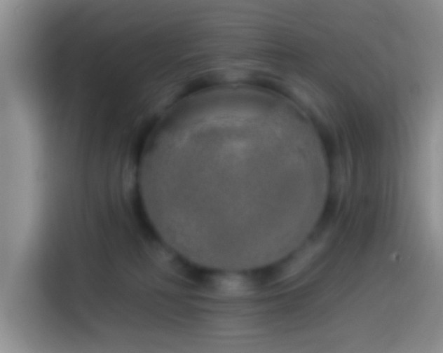 X0000113920230200910011518