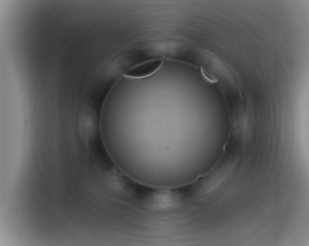 X0000113920231200910011518