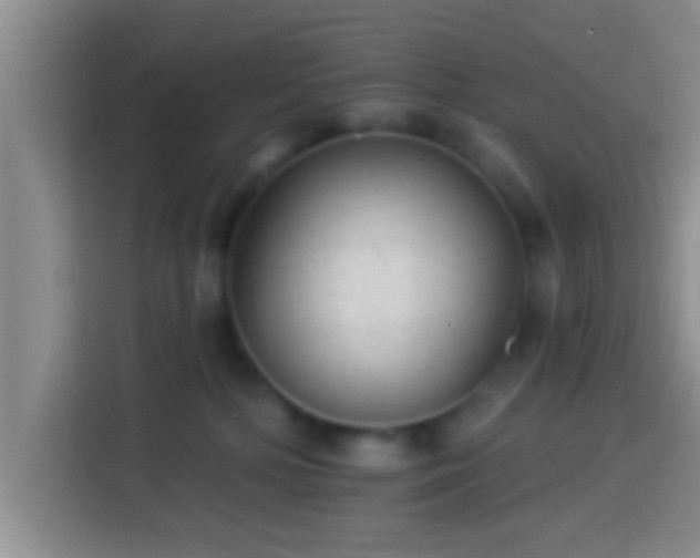X0000113920232200910011518