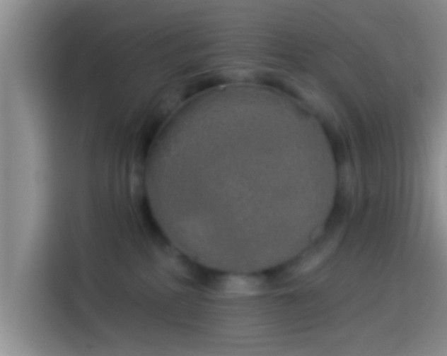 X0000113920234200910011518