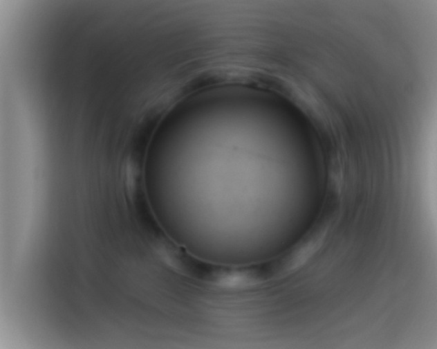 X0000113920235200910011518